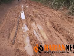 Jalan Antara Desa Sungai Deras dan Suka Damai Memperihatinkan Sulit Dilalui