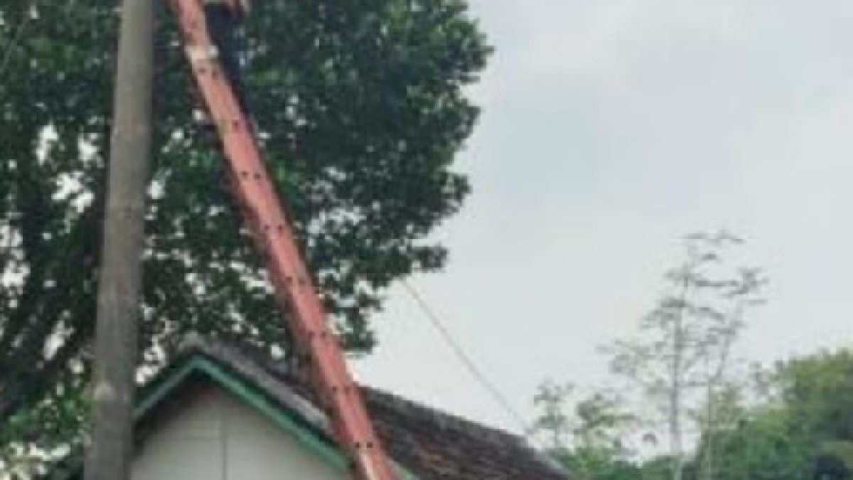 Warga Keluhkan Daya Listrik di Desa Daleman Banyak Elektronik Rusak