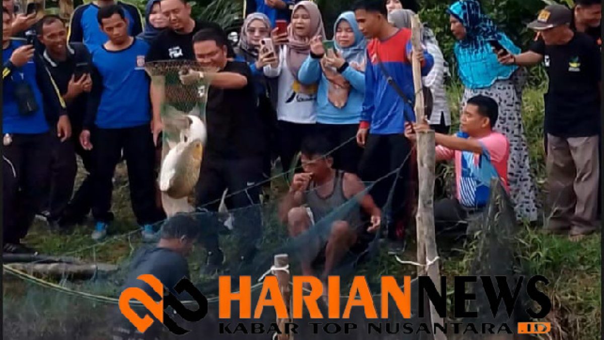 Panen Raya Tambak Ikan Usaha Ekonomi Produktif Kelompok Usaha Bersama