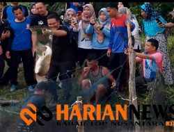 Panen Raya Tambak Ikan Usaha Ekonomi Produktif Kelompok Usaha Bersama