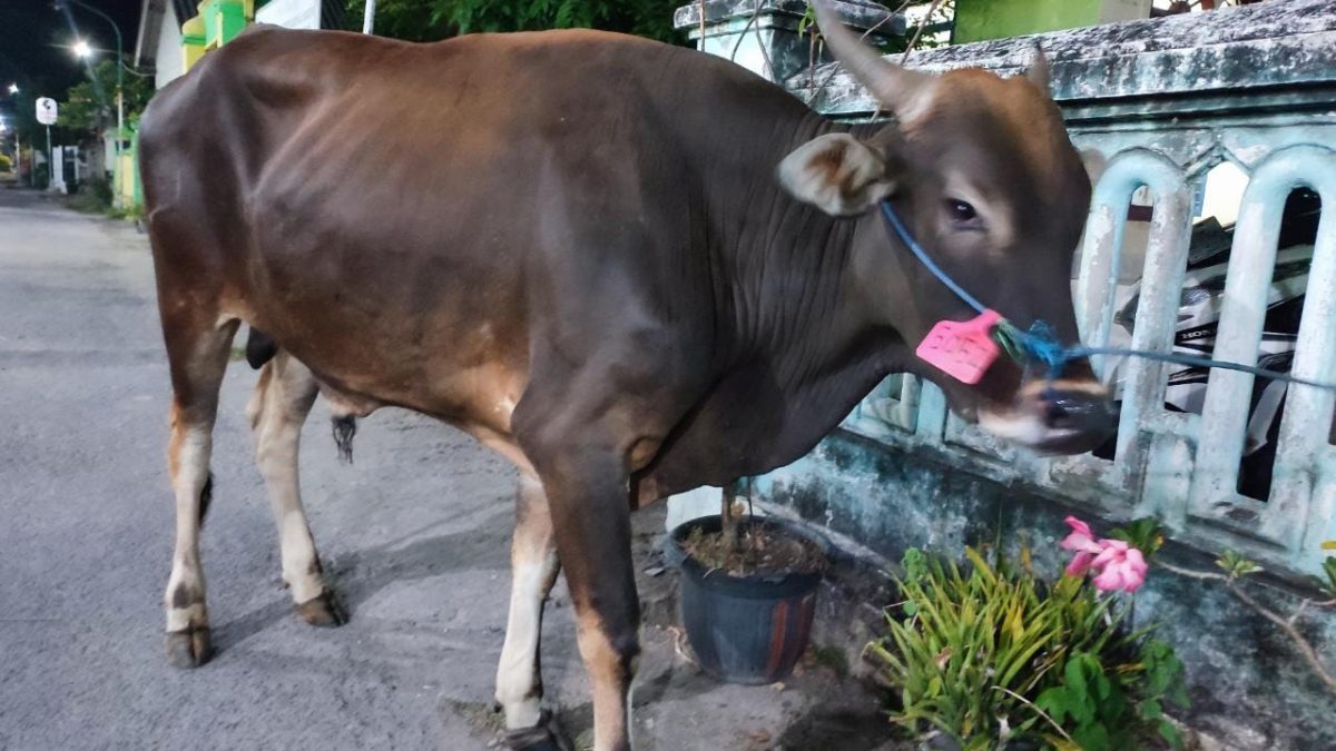 Ponpes Zainal Abidin Gresik Dapat Kurban dari Kapolri