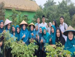 Ketua TP PKK Lampung Utara Mengelar Pengajian Rutin Di Desa Pengaringan Kecamatan Abung Barat