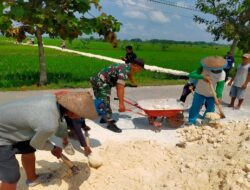Permudah Aktifitas Pertanian Desa Babinsa Kuwurejo Kerja Bakti Pemerataan Jalan