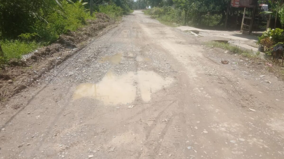 Diduga Pengerjaan Pengerasan Jalan Asal- Asalan Dalam Hitungan Hari Kondisi Jalan Semadam Desa Kebun Tiga Dusun Sejahtera Sudah Hancur Dan Berlobang