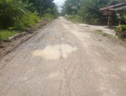 Diduga Pengerjaan Pengerasan Jalan Asal- Asalan Dalam Hitungan Hari Kondisi Jalan Semadam Desa Kebun Tiga Dusun Sejahtera Sudah Hancur Dan Berlobang