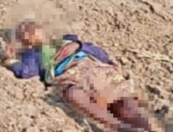 Jasad Nenek Tua Ditemukan Sudah Tak Bernyawa di Area Persawahan Desa Patihan Kecamatan Babat
