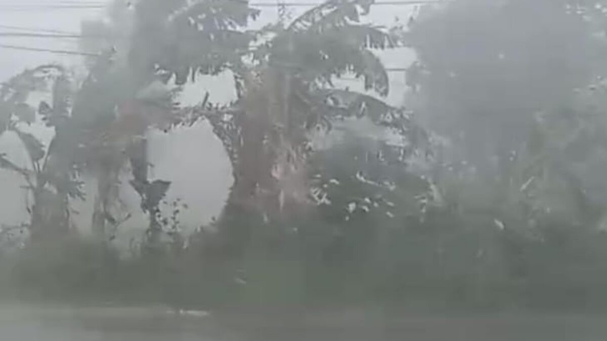 Akibat Hujan Deras Puluhan Rumah di Lamongan Porak-Poranda Disapu Angin