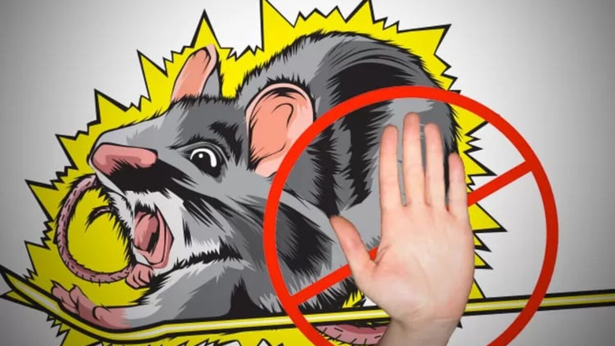 Warga Desa Dibee Kalitengah Tewas Terkena Jebakan Tikus Beraliran Listrik