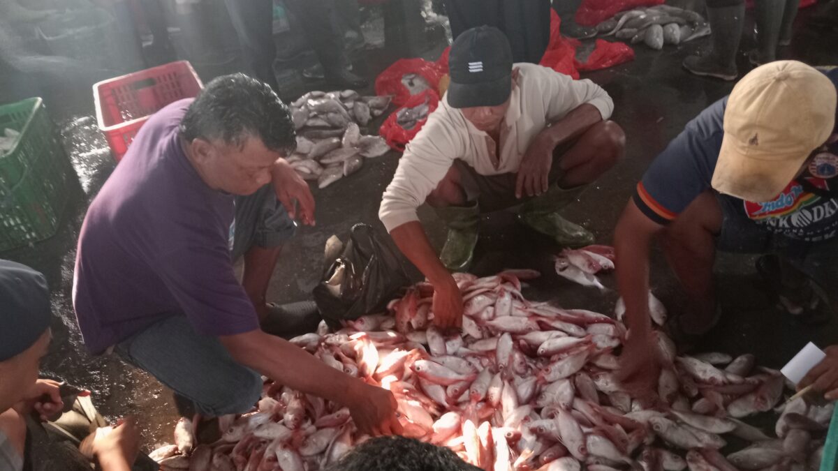 Jelang Pergantian Tahun 2023-2024 PPDI Brondong Diserbu Pembeli Ikan