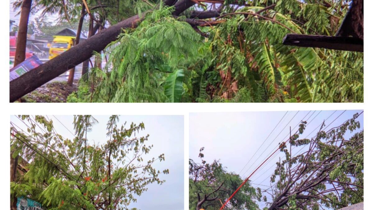 Akibat Pohon Tumbang Aliran Listrik di Kawasan Desa Bulutrate Ke Timur Dilakukan  Pemadaman