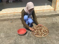 Kulit Salak: Transformasi dari Limbah ke Minuman Menggugah Selera