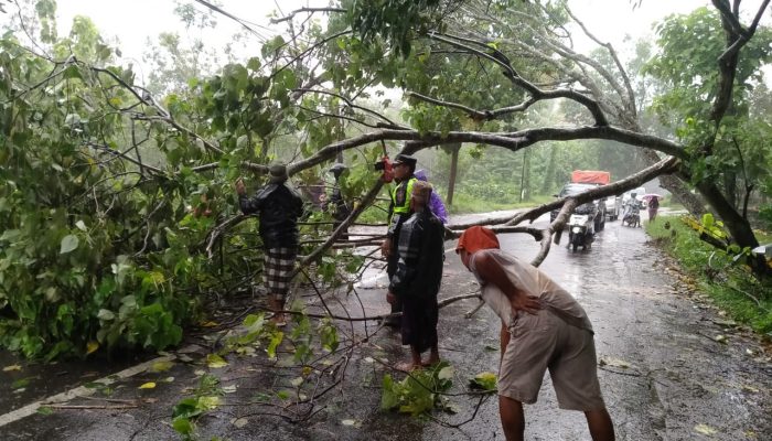 Kapolsek Robetal Beserta Anggota Langsung Terjun Ke Lokasi Setelah Mendapat Aduan Dari Masyarakat Terkait Pohon Tumbang di Jalan Raya Desa Jelgung
