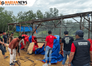 Satreskrim Polres Sampang Komitmen Berantas Arena Judi Sabung ayam