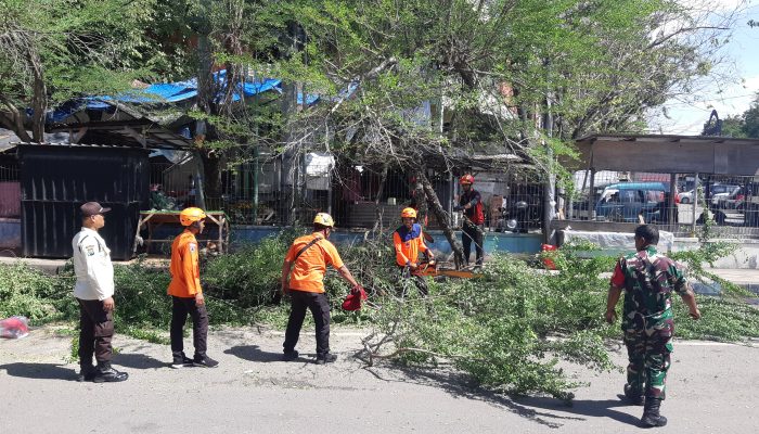 BPBD, Babinsa, dan Pihak Pasar Bersatu Rapikan Pohon di Pasar Srimangunan