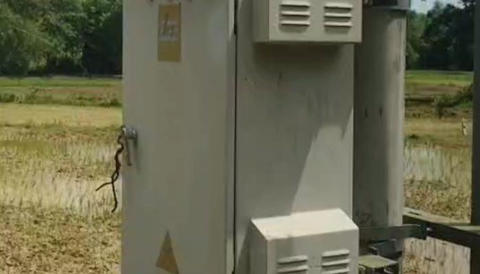 Warga Desa Bajrasokah Mengeluh, 2 Tahun Trafo Dicopot, Dipaksa Ngelos Alat Elektronik Rusak