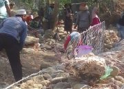 Bertahun-tahun Tak Tertangani, Warga Pangeraman Pamekasan Patungan Bangun Tebing Rawan Longsor
